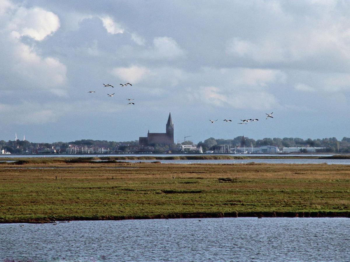 Glebbe 17 - Wohnung Suedblick Zingst Luaran gambar